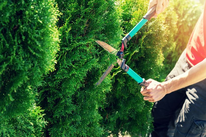Hedge Shaping Service in Honolulu, HI