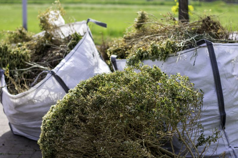 Leaf Removal Services and Tips