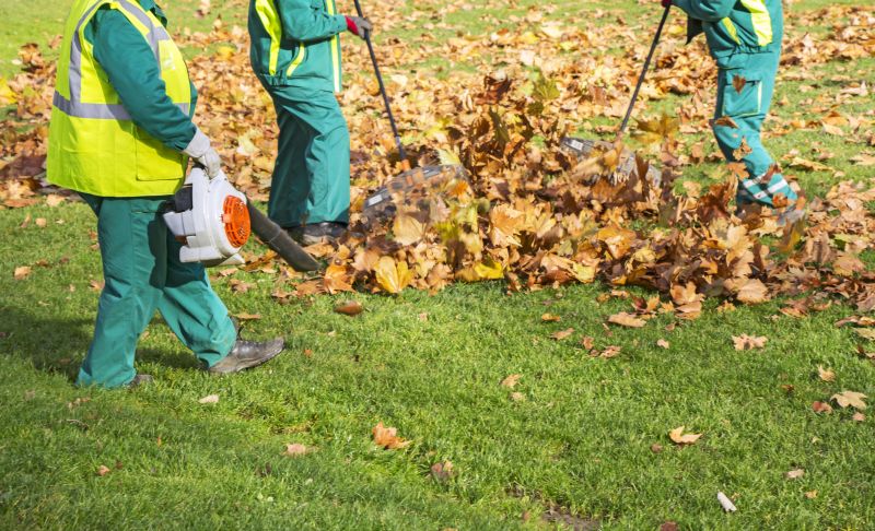 Leaf Removal Contractor Listings