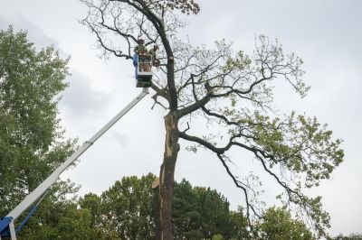 Service Locations for Leaf Removal
