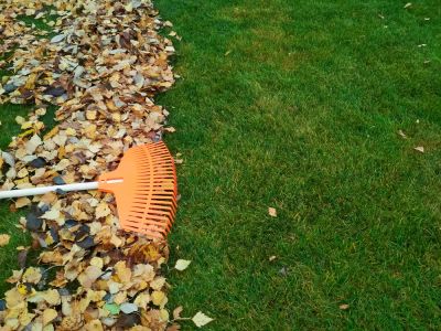 Promote Lawn Health with Leaf Removal!