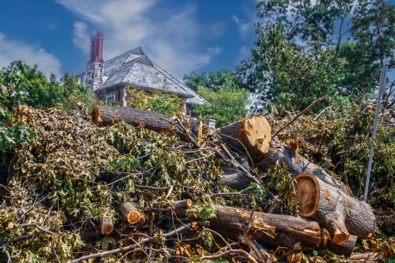 Brush Cleanup Service in Ventura County, CA