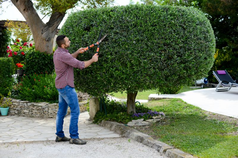 Bush Pruning in Ventura County, CA