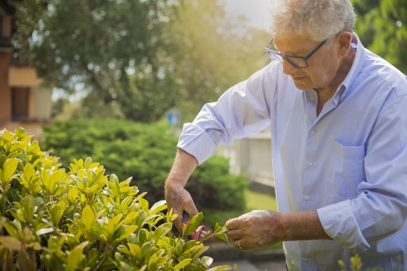 Bush Trimming Service in Ventura County, CA