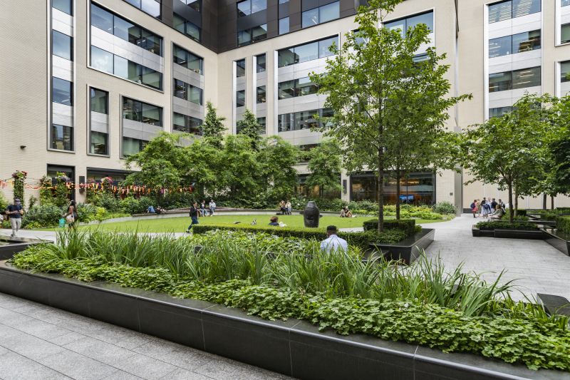 Commercial Landscaping in Honolulu, HI