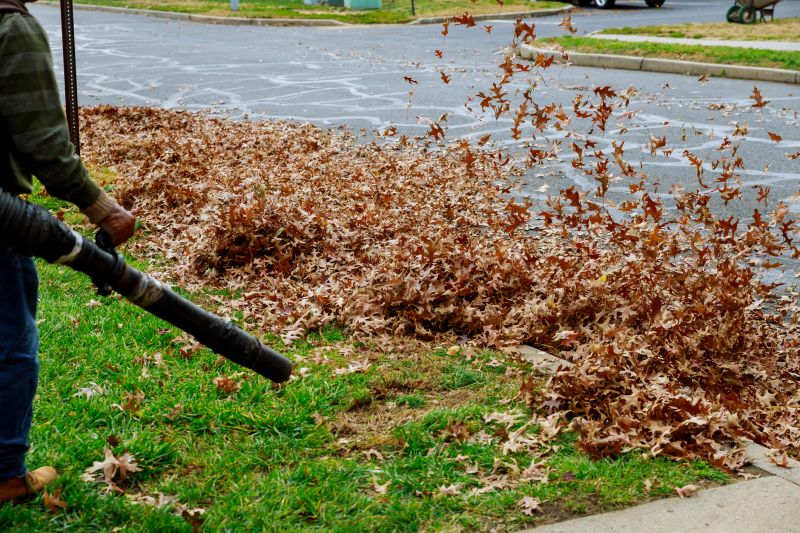 Commercial Leaf Removal in Honolulu, HI
