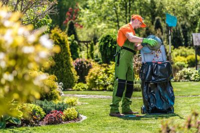 Commercial Leaf Removal in Honolulu, HI