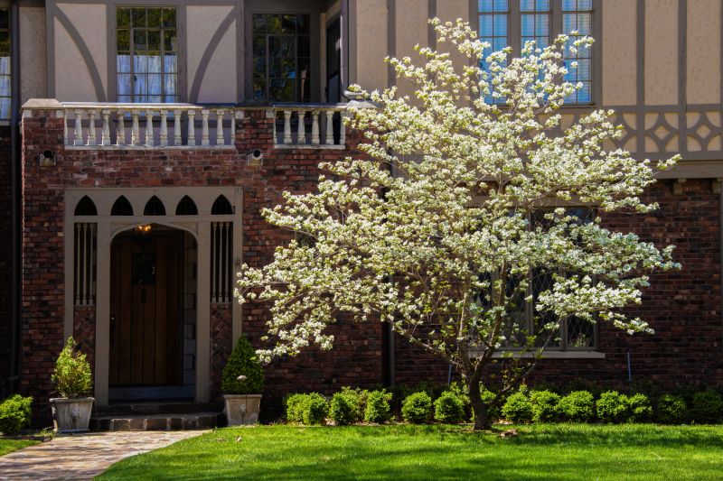 Dogwood Tree Planting in Honolulu, HI