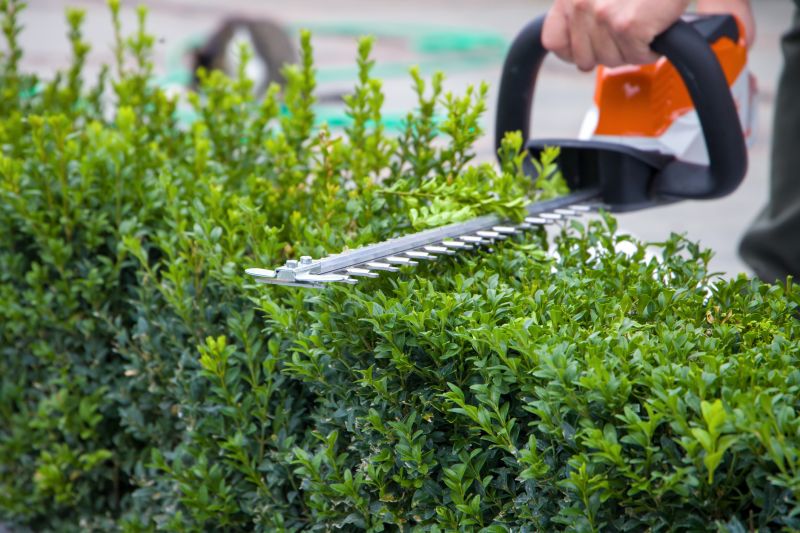 Evergreen Hedge Trimming in Honolulu, HI