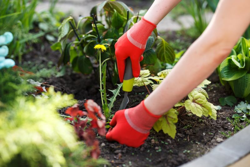 Garden Deweeding in Ventura County, CA