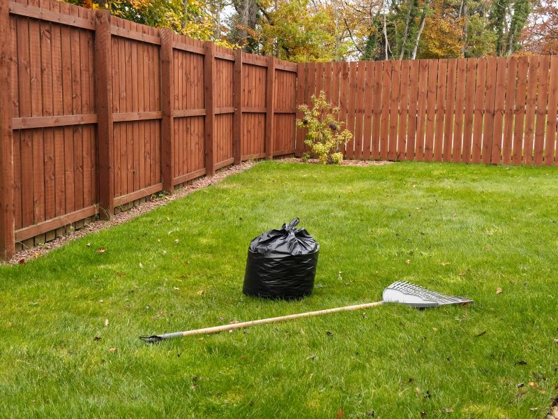 Lawn Debris Cleanup