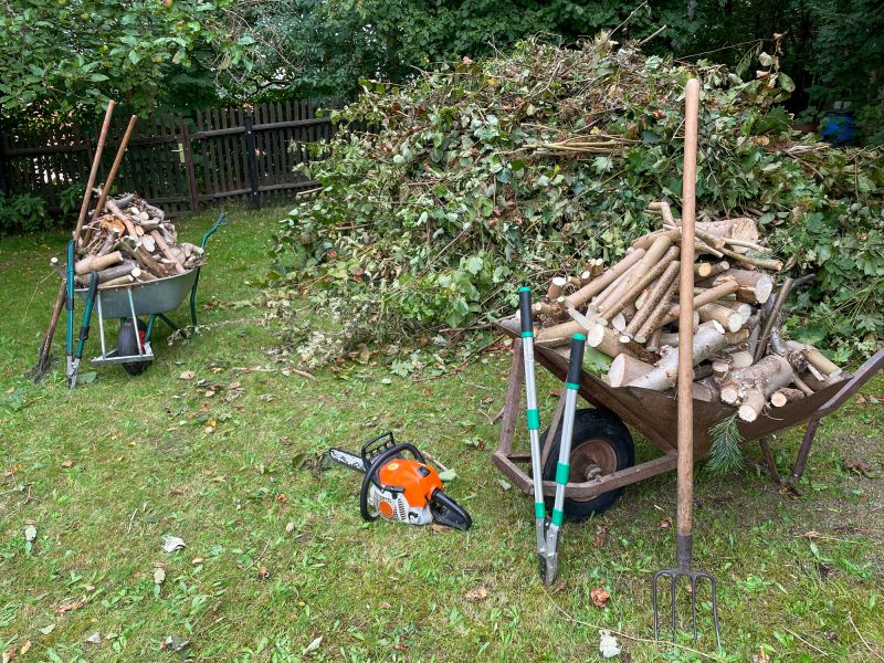 Lawn Debris Cleanup in Ventura County, CA