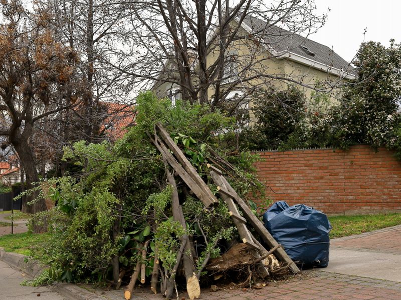 Lawn Waste Removal in Ventura County, CA