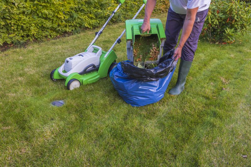 Leaf Cleanup Service in Ventura County, CA