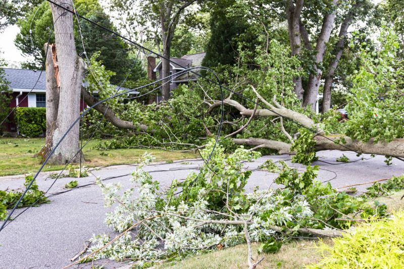 Limbs Removal in Ventura County, CA