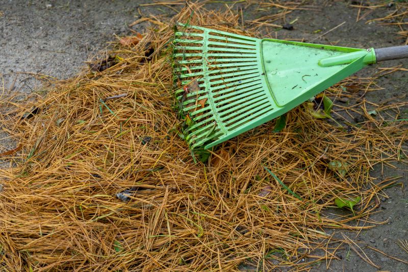Pine Straw Raking in Ventura County, CA