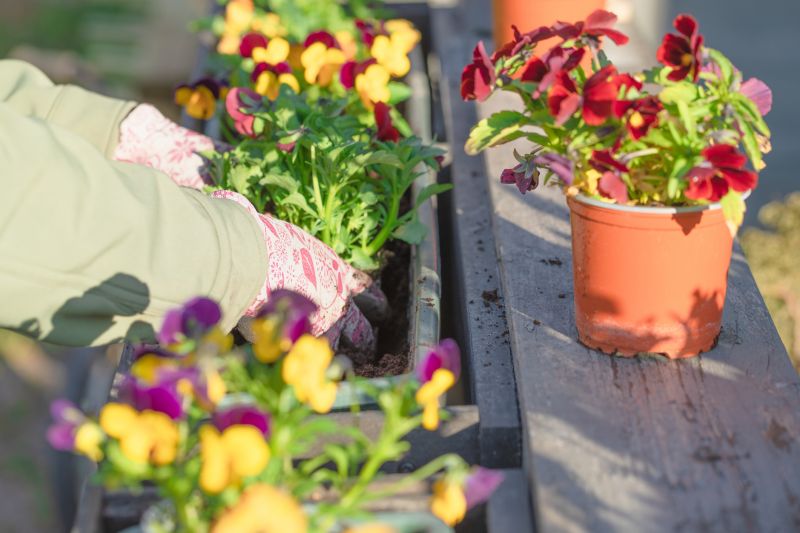 Plant Replacement in Ventura County, CA