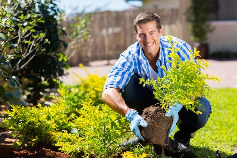 Privacy Shrub Installation in Ventura County, CA