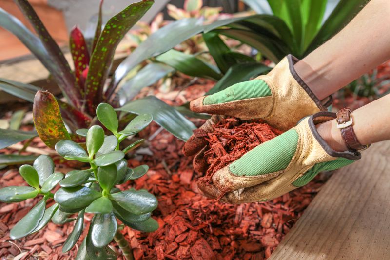 Red Mulch Installation in Honolulu, HI