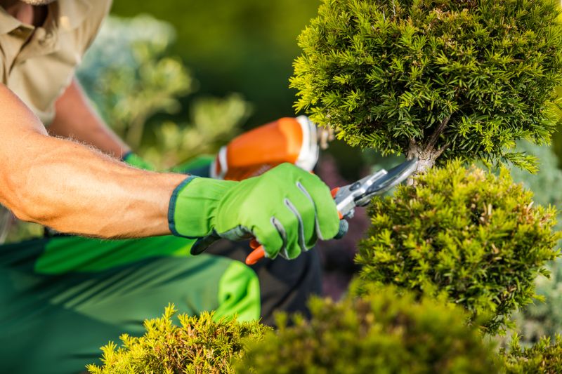 Shrub Pruning in Honolulu, HI