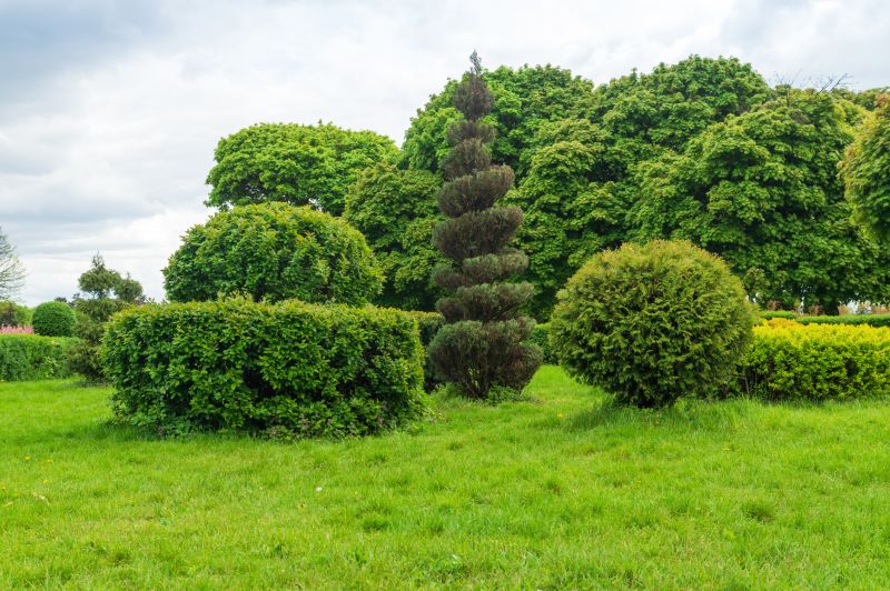 Shrubs Removal in Honolulu, HI