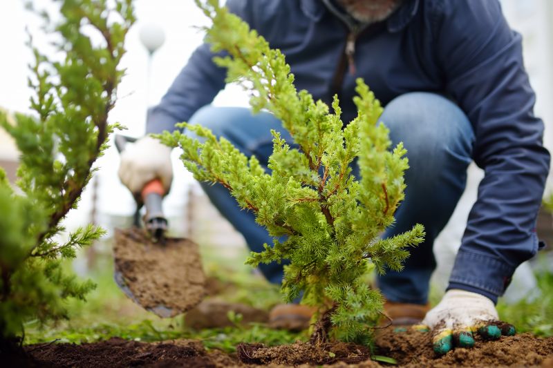 Small Garden Landscaping in Honolulu, HI