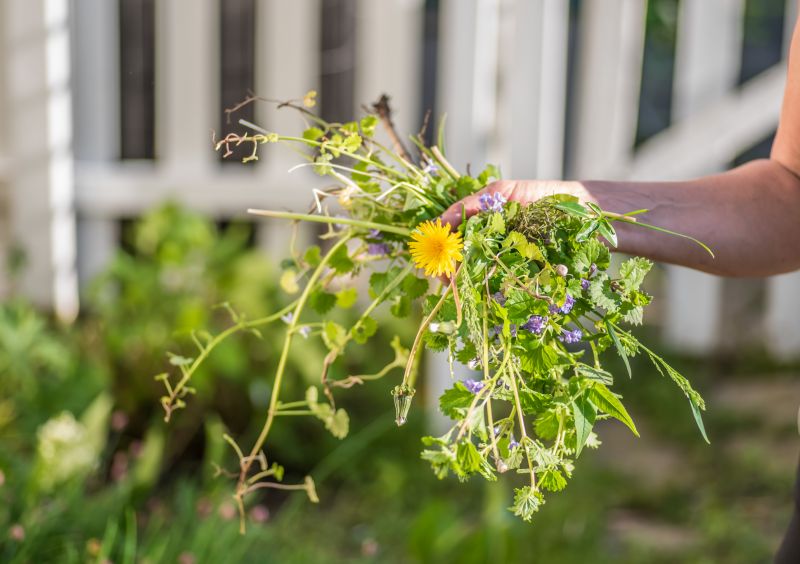Spring Yard Cleanup in Ventura County, CA