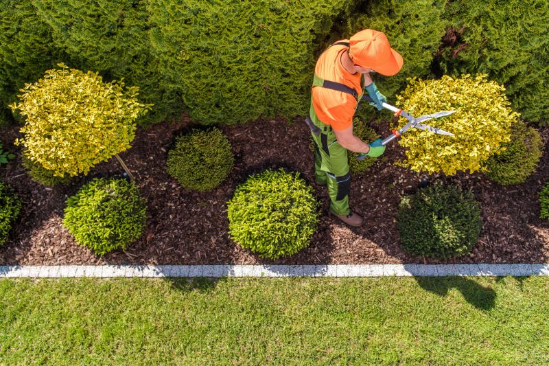 Topiary Shaping in Honolulu, HI