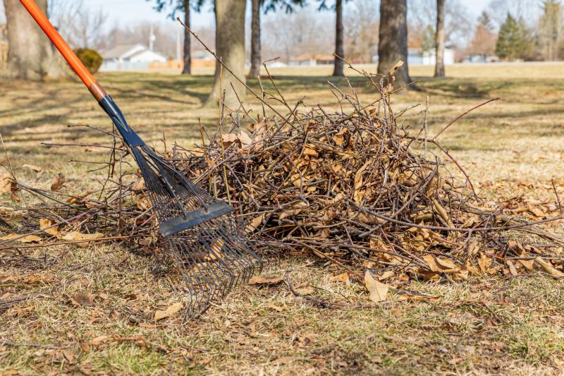 Tree Branch Disposal in Ventura County, CA
