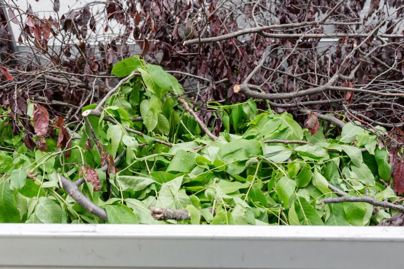 Tree Branches Removal in Ventura County, CA