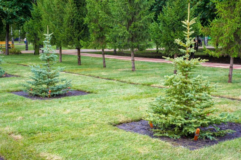 Tree Landscaping in Honolulu, HI