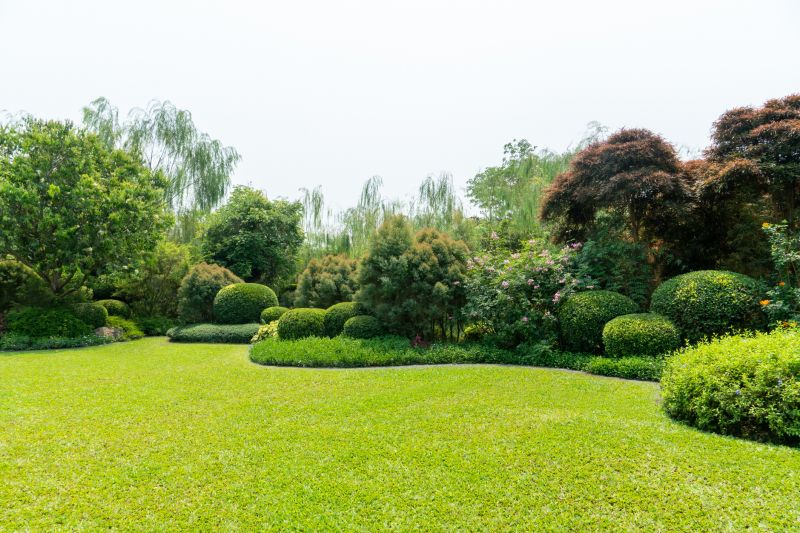Tree Landscaping in Ventura County, CA
