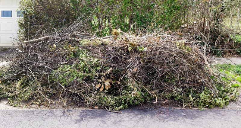 Tree Limb Cleanup in Ventura County, CA