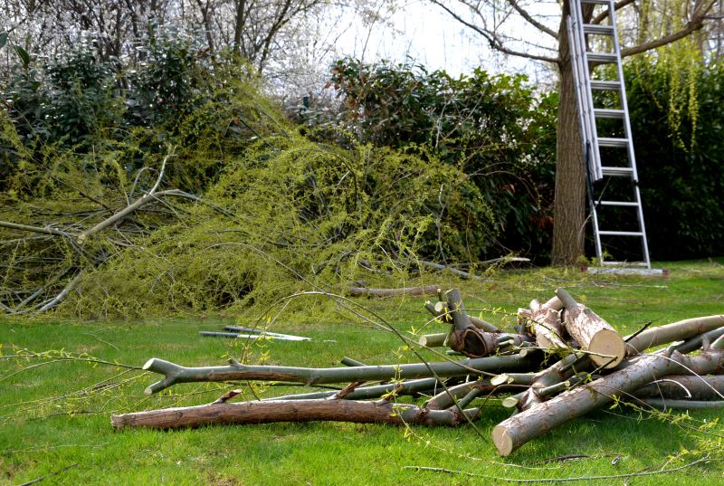 Tree Limb Cleanup in Ventura County, CA