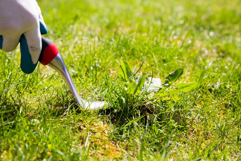 Weeding Service in Honolulu, HI
